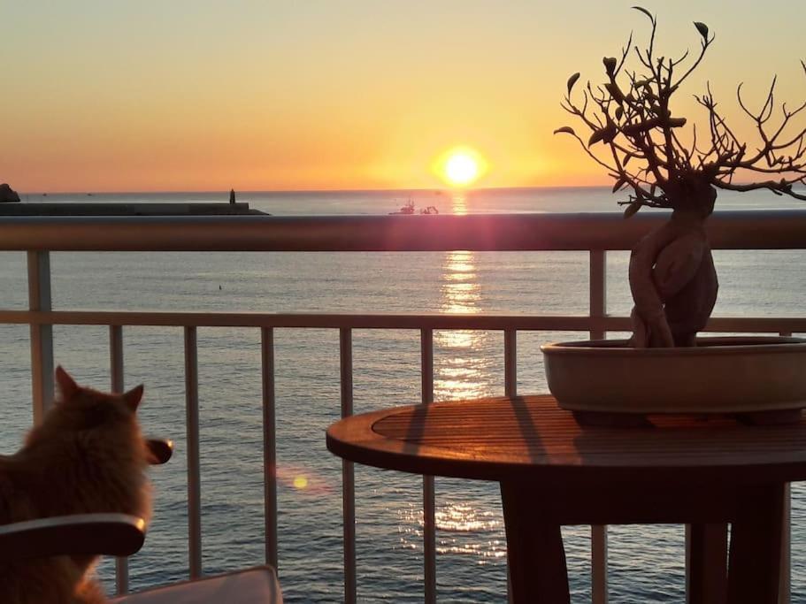 Apartmán La Casa Del Port Jávea Exteriér fotografie