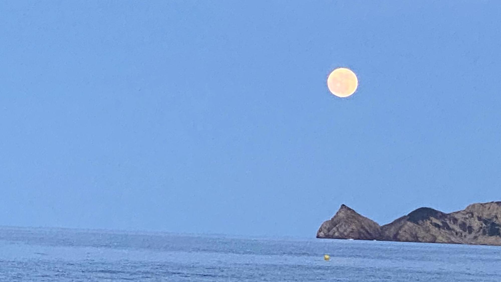 Apartmán La Casa Del Port Jávea Exteriér fotografie