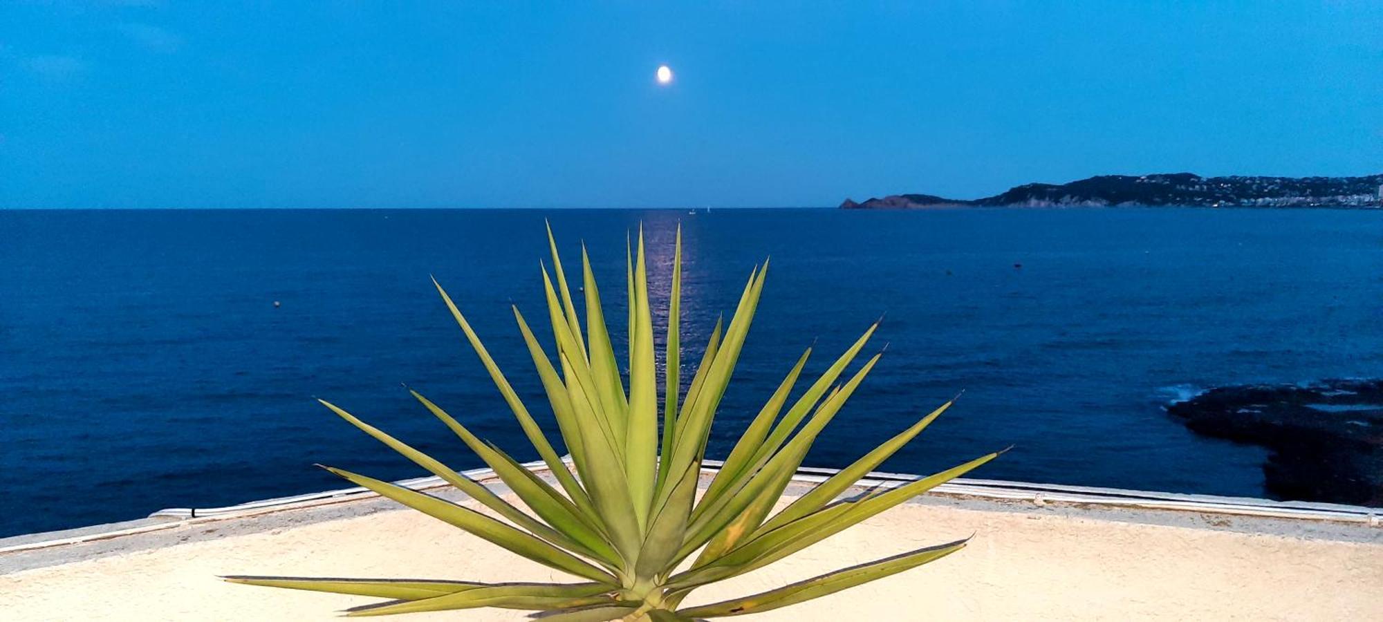 Apartmán La Casa Del Port Jávea Exteriér fotografie